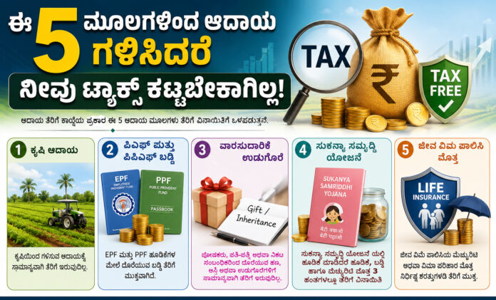 Earn From These 5 Sources and Pay Zero Income Tax